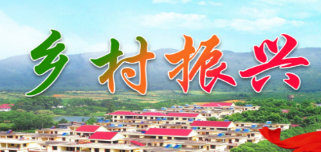 鄉(xiāng)村振興